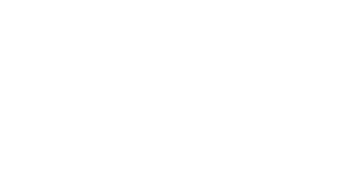 The Palace Suites Logo